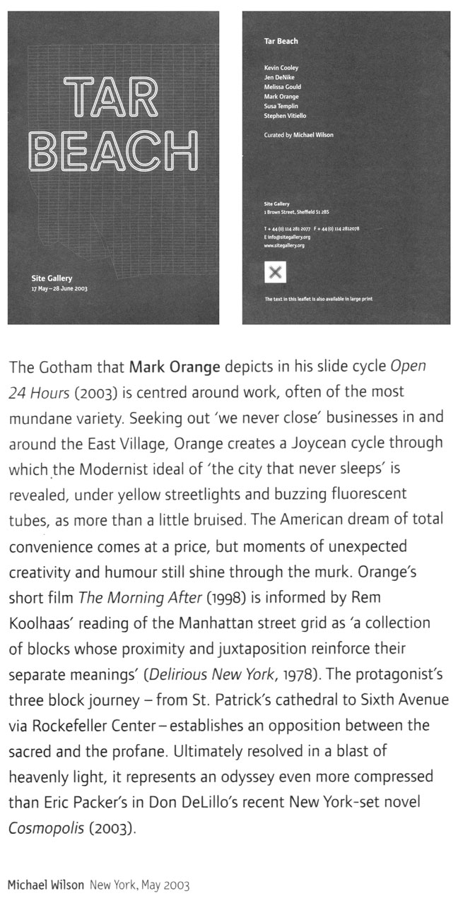 Michael Wilson, from 'Tar Beach' essay, 2003